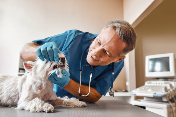 Best Dentist for Tooth Abscess  in Brighton, AL